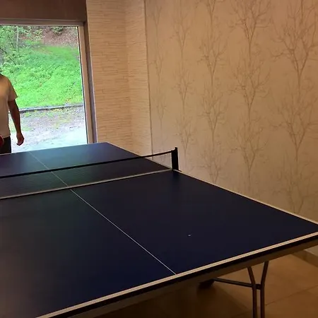 Dworek Lesny * Kudowa Zdroj