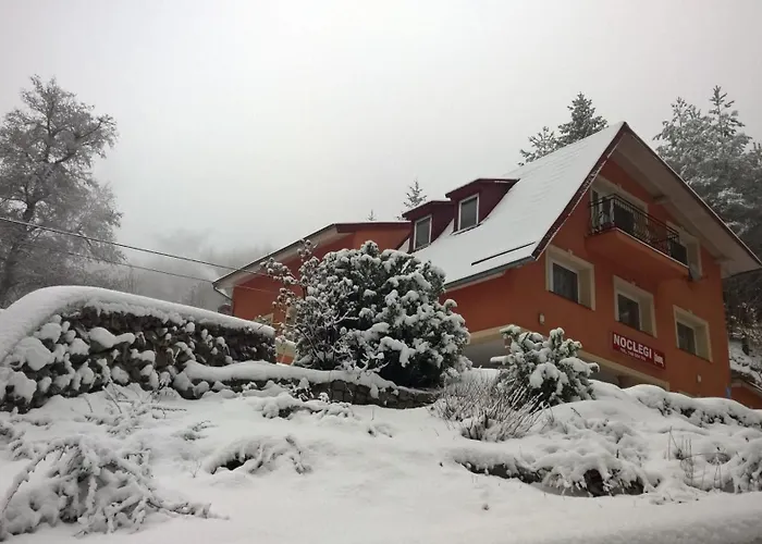 Bed & Breakfast Dworek Lesny