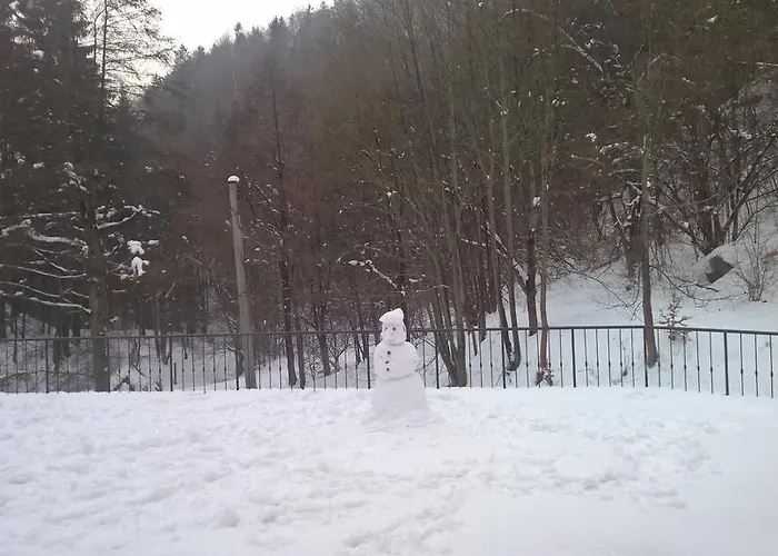 Bed & Breakfast Dworek Lesny