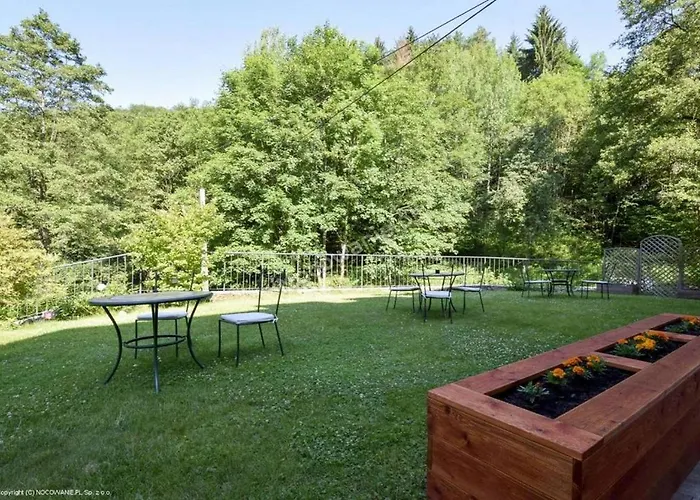 Dworek Lesny Bed & Breakfast